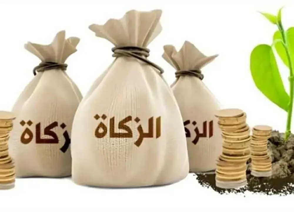 قيمة زكاة الفطر 2026 للفرد في مصر.. الإفتاء تحدّد موعدها وطريقة إخراجها